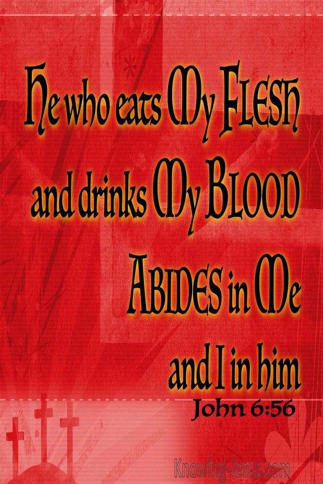 John 6:56  He Who Eats My Flesh And Drinks My Blood Abides In Me (red)